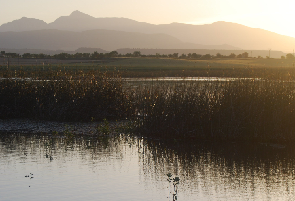Sesiones de escucha por Estrategia Integrada de Recursos Hídricos de