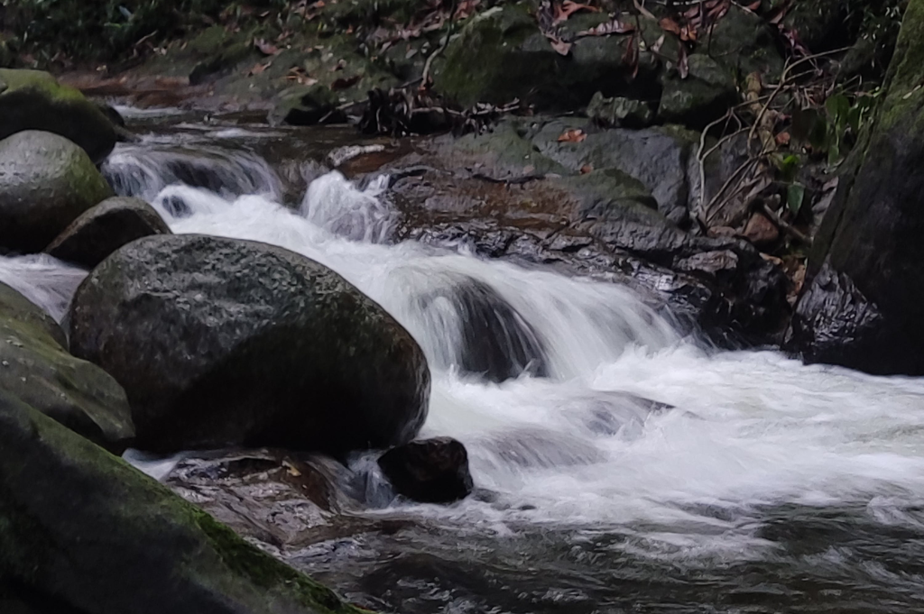 Water Quality & Conservation Upper Willamette Soil & Water