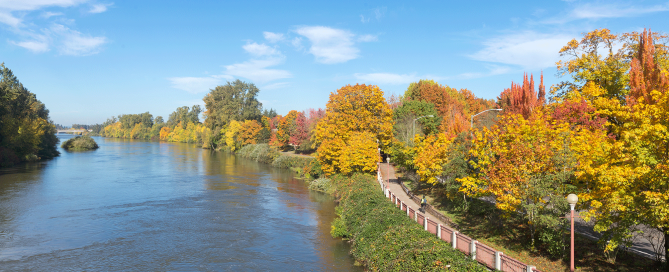 River with different colored trees on either side