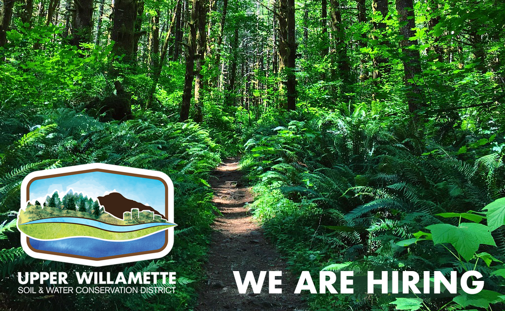 We Are Hiring 2025