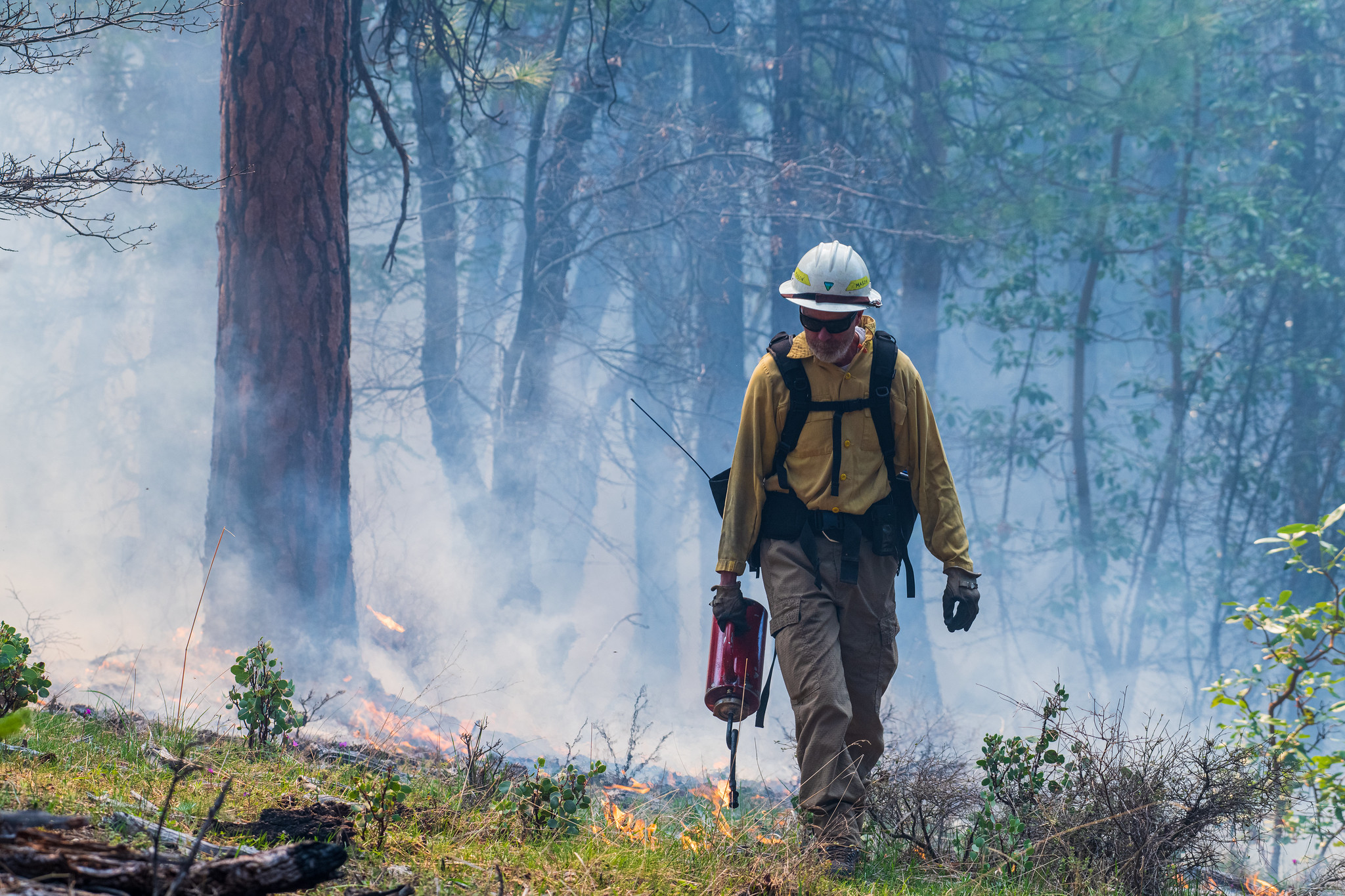Prescribed Fire – Applegate